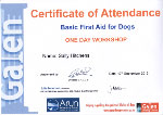 FIRST AID COURSE