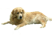 casper_2_edited-1.png