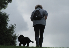 dog_exercise_set.jpg
