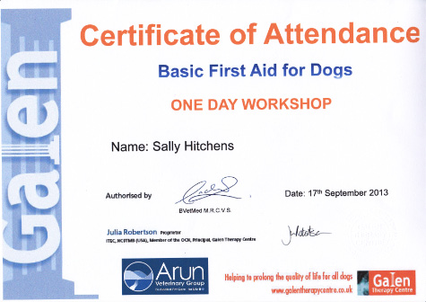 Galen_1st_Aid_Cert-4.jpg
